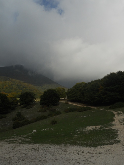 Pomeriggio A Campo Catino